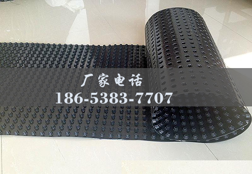 排水板廠(chǎng)家http://m.cnsnsj.com/