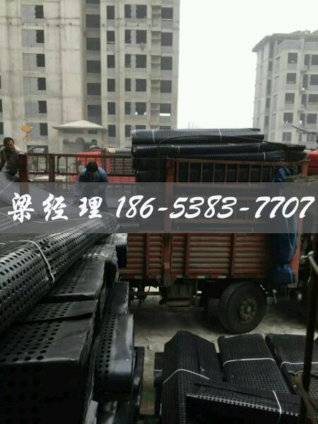 排水板廠家http://m.cnsnsj.com/